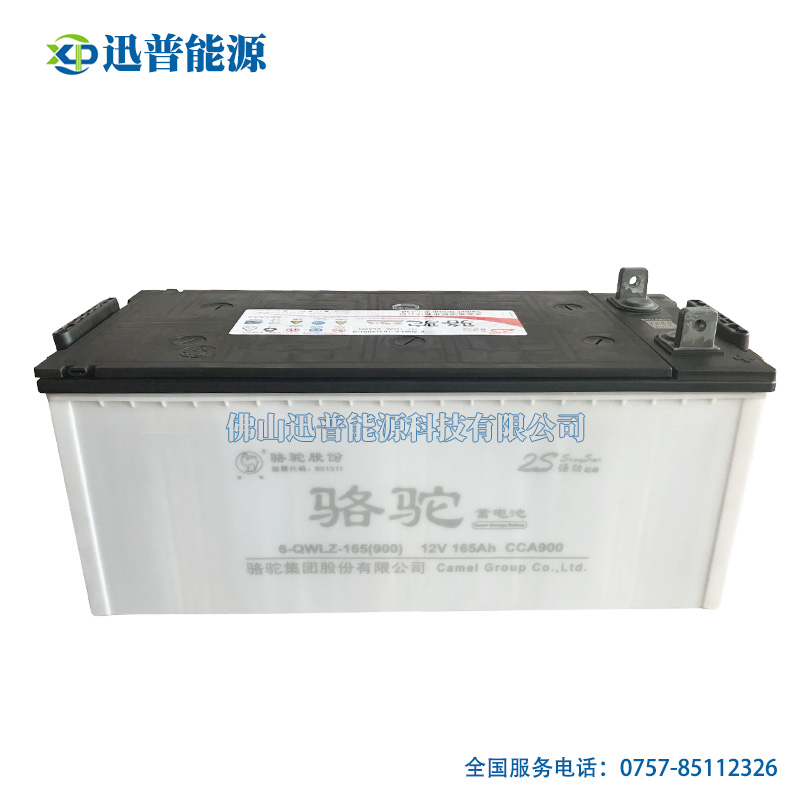 駱駝蓄電池6-QWLZ-165(900)汽車電瓶批發 12V165Ah免維護電池